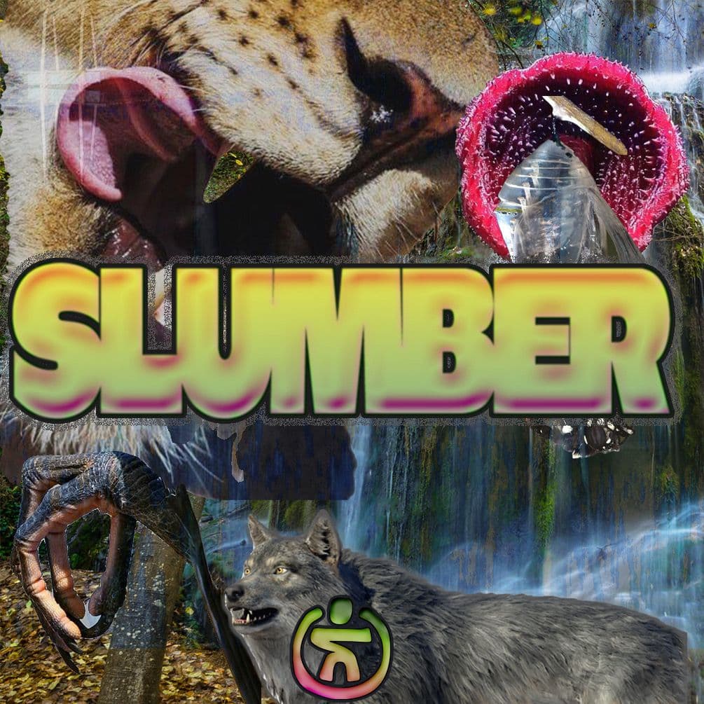 SLUMBER